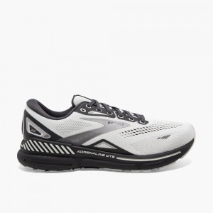 Brooks Adrenaline GTS 23 Lifestyle Skor Herr Oyster/Ebony/Alloy | ENBGC-8436